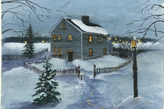house with snow